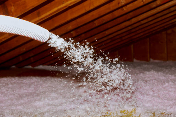 Best Specialized Insulation Services in Bethlehem, PA